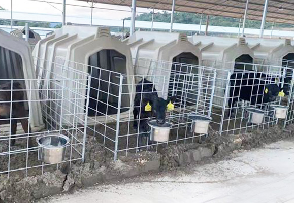 百家号配图尺寸.jpg