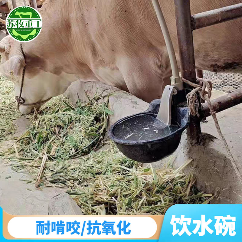 苏牧主图1.jpg