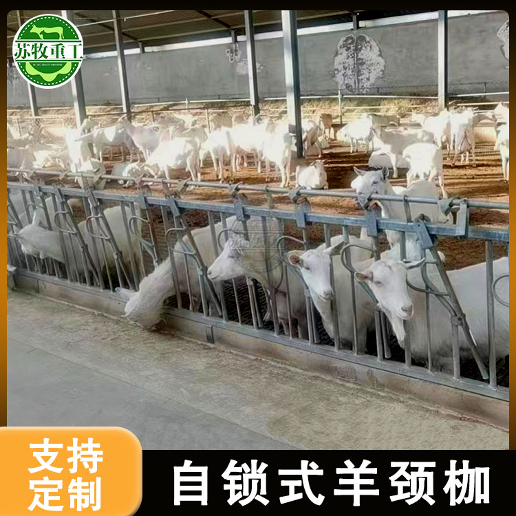 微信图片_20240326153646.jpg