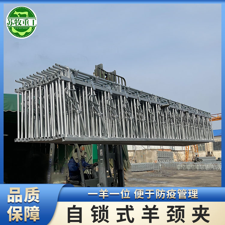 微信图片_20240521085554.jpg