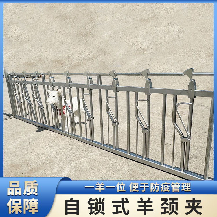 微信图片_20240521103037.jpg